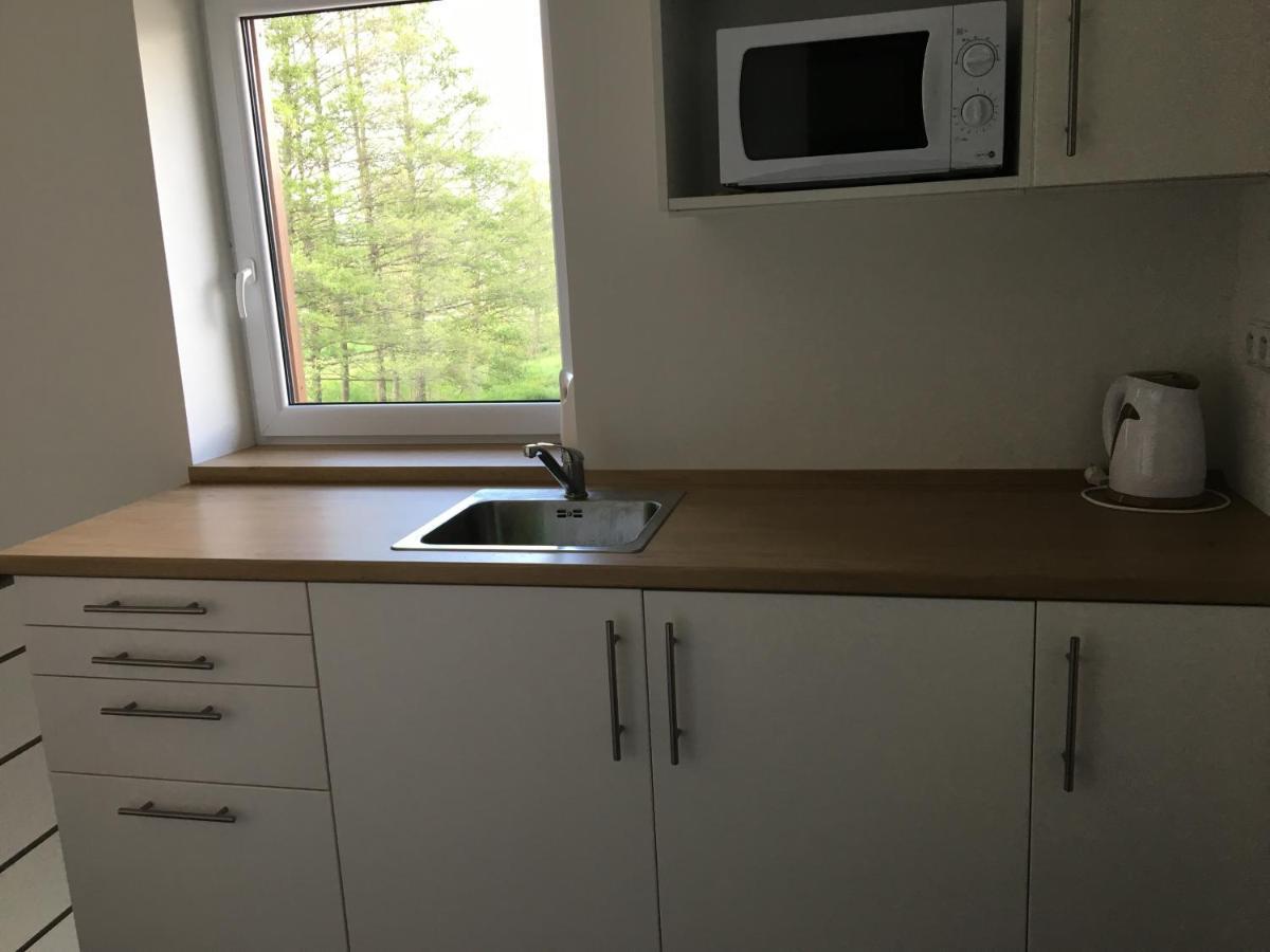 Appartement Rychlebska Basta à Černá Voda Extérieur photo